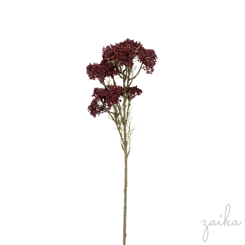 HASTE SEMENTE DE HORTENSIA