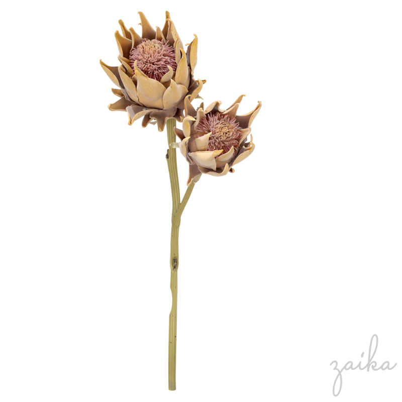 HASTE PROTEA