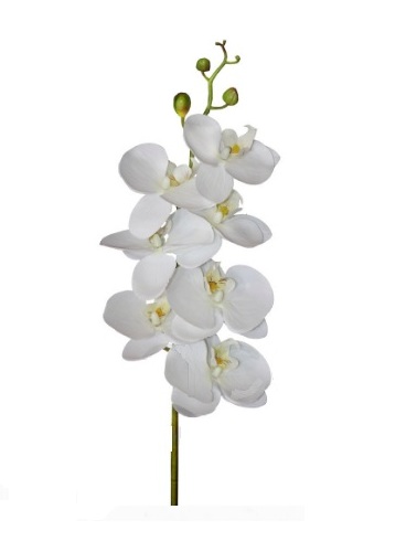 FLOR ORQUÍDEA PHALAENOPSIS BRANCA
