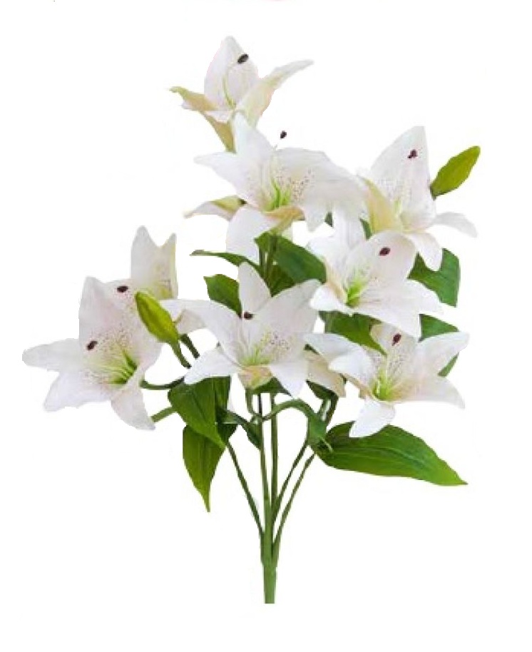 FLOR LÍRIO