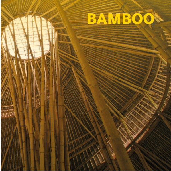  BAMBOO