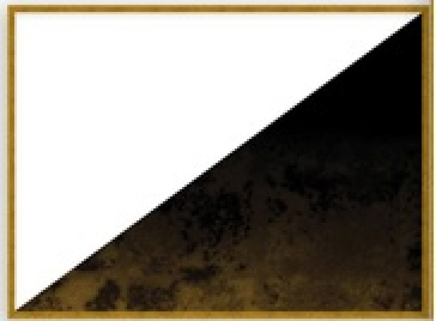 QUADRO PRETO E BRANCO